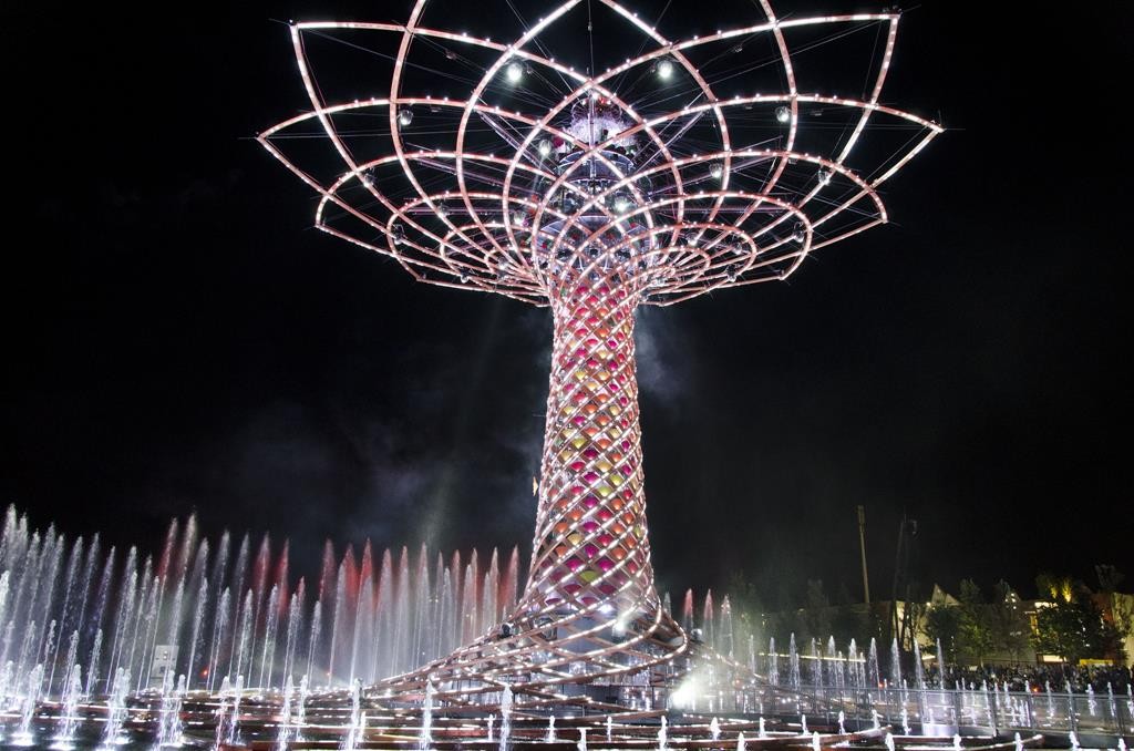 L'albero della vita. Phot. Simone Bosotti